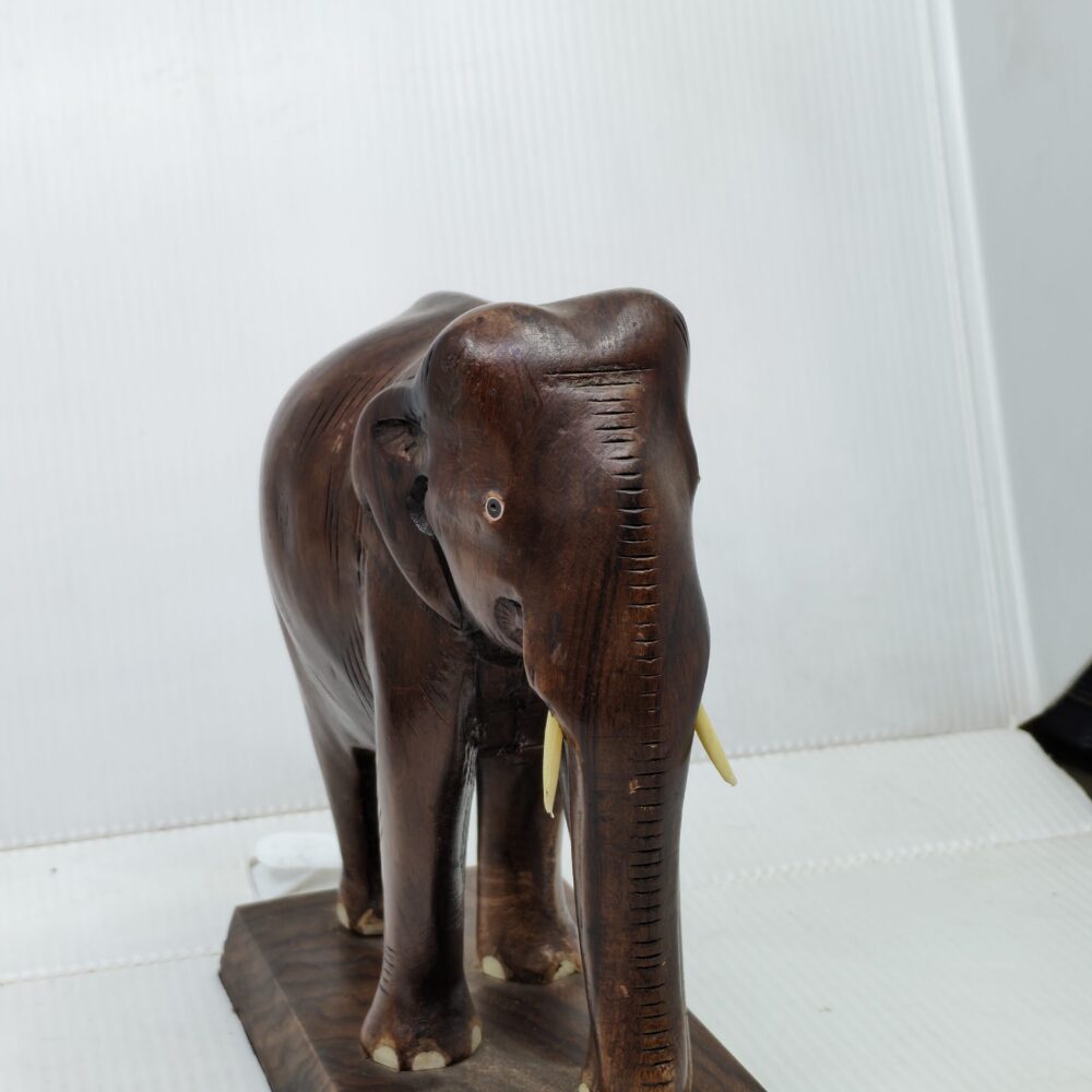 IMG 20251015 153745 scaled