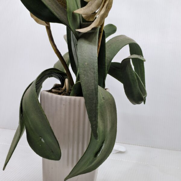 Artificial aged orchid décor | Yellow orchid in ceramic pot | Wabi-sabi floral arrangement | Decorative indoor plant with vintage charm